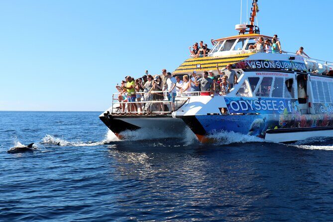 Odyssee 3: The Glass Bottom Boat Tour in Fuerteventura - Price and value for $90.51: what you truly get