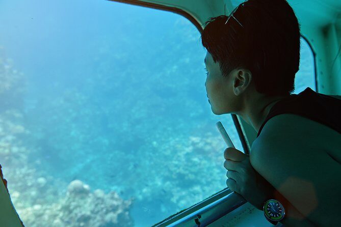 Odyssee 3: The Glass Bottom Boat Tour in Fuerteventura - The Water-Play Stop: Slide, kayak, paddle surf, snorkeling, and sea comfort