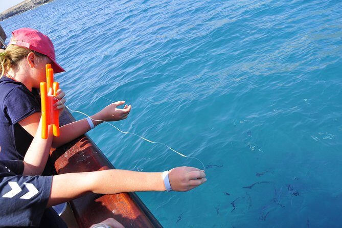 Pirate Adventure Boat Tour with Lunch in Fuerteventura - Wildlife Spotting: Dolphins, Whales, and What “Authorized for Whale Watching” Means