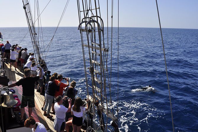 Pirate Adventure Boat Tour with Lunch in Fuerteventura - Activities Between Hoisting Sails: Games, Prizes, and Water Fun