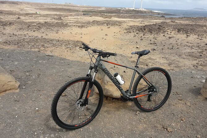 Rent A Bike (electric & Normal) Corralejo - Route Guidance and Mobile Alternatives: How to Make the Day Feel Effortless