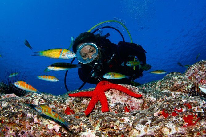 Scuba Diving Baptism in Caleta de Fuste - Getting Your First Scuba Baptism Skills in Caleta de Fuste