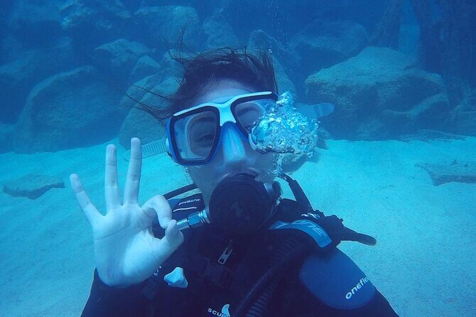 Scuba Diving Baptism in Caleta de Fuste - The Caleta de Fuste Underwater Part: 6 Meters and Real Marine Fauna