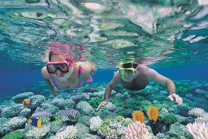 Snorkel Experience in Caleta de Fuste - Who This Snorkel Trip Fits Best