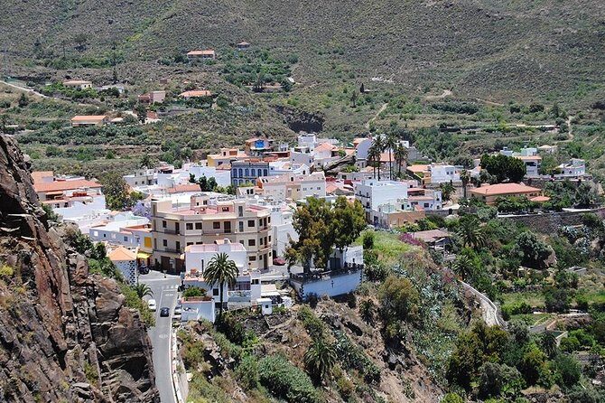 Tastes of Fuerteventura Minivan VIP Tour - Key highlights worth your time