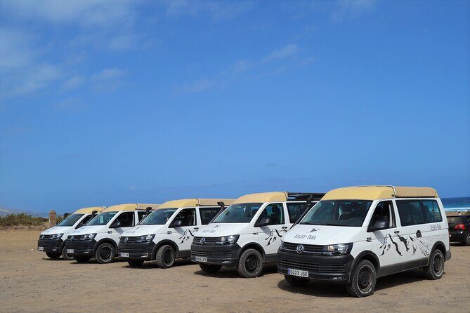 Tastes of Fuerteventura Minivan VIP Tour - Guide and driver impact: why this tour earns its high marks