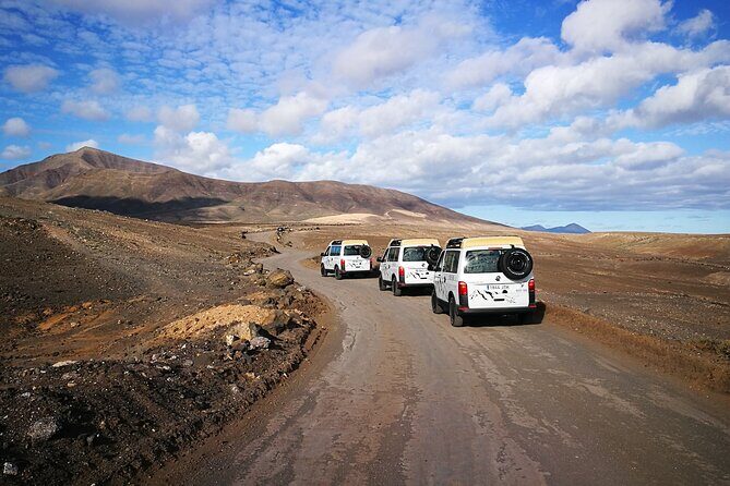 Tastes of Fuerteventura Minivan VIP Tour - First stop: the Finca Canarias Aloe Vera farm (and what you’ll actually learn)