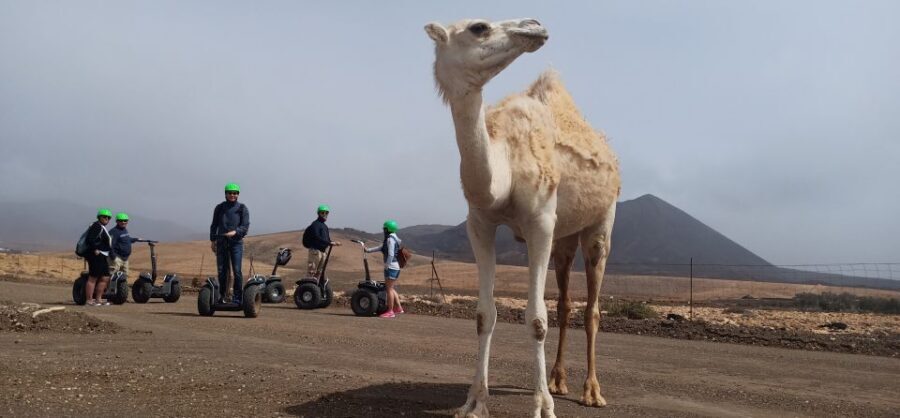 Tiscamanita: Segway Tour, Aloe Vera Farm & Mills Museum - Mills museum: the windmill-type stop and local industry context