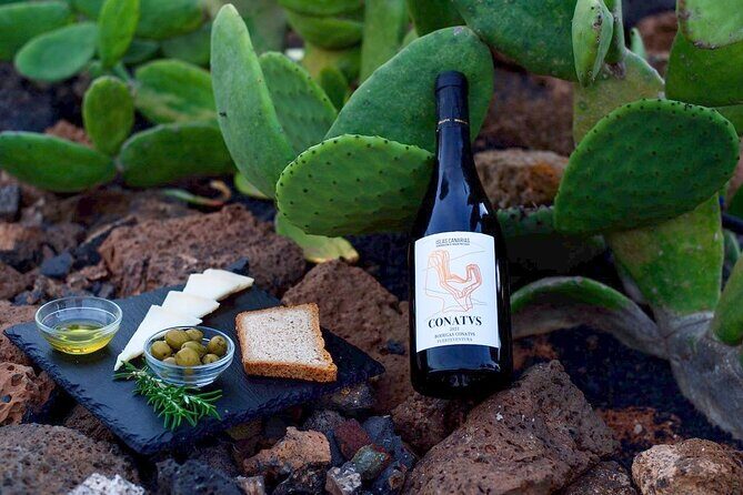 Vineyard tour with wine tasting and local products - Vineyard Walking: Grapes, Gavias, and What Makes This Island Different
